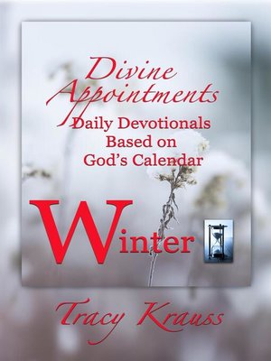 cover image of Divine Appointments